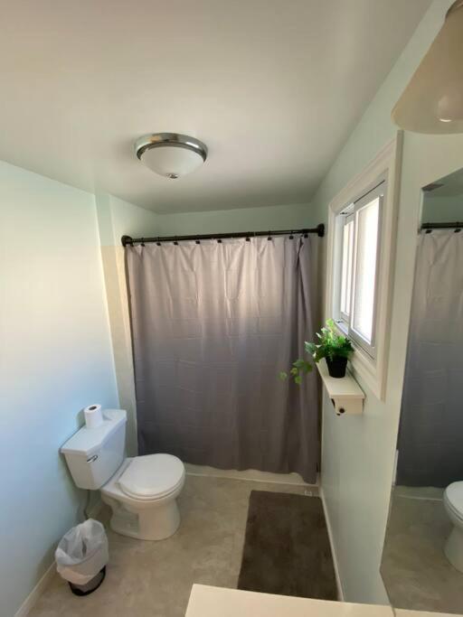 Kingston Comfort Hub Dış mekan fotoğraf