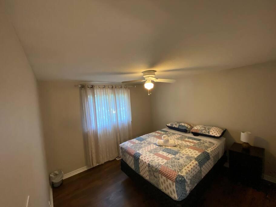 Kingston Comfort Hub Dış mekan fotoğraf