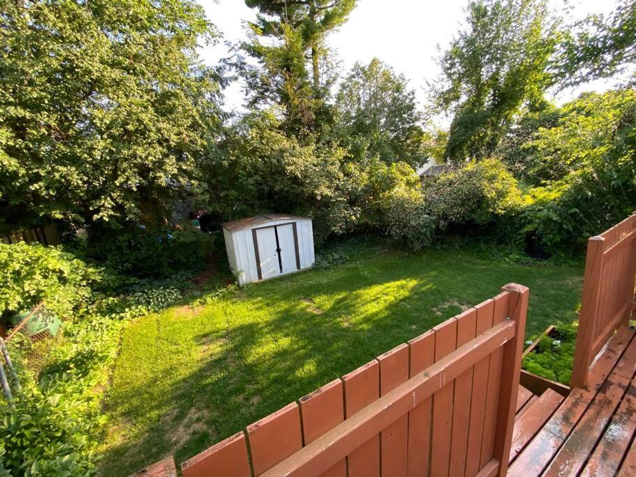 Kingston Comfort Hub Dış mekan fotoğraf